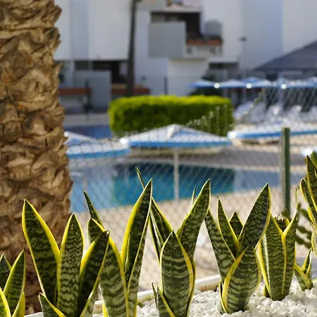 Apartment Moderno Estudio Con Piscina En Arona - Ideal Parejas *